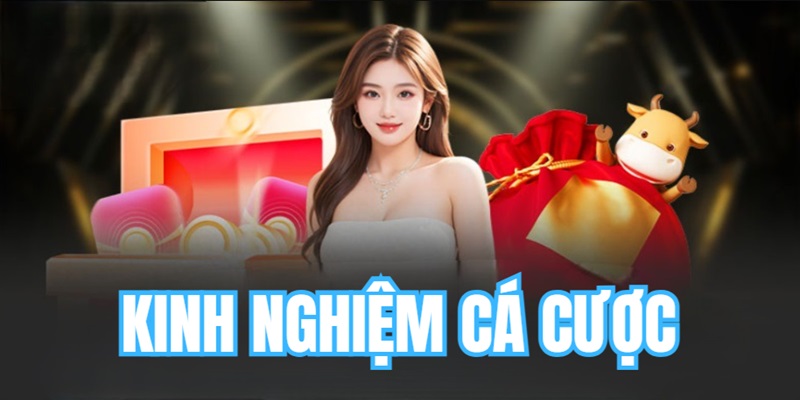 Tìm Hiểu Về Sự Hình Thành Chuyên Mục Kinh Nghiệm Cá Cược? Tìm Hiểu Về Sự Hình Thành Chuyên Mục Kinh Nghiệm Cá Cược?